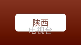 陕西卫视在线直播